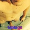 pago bem, procuro mulher